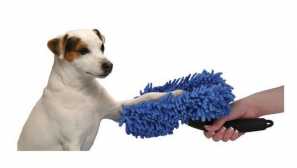 Ako umyť labky vášho psa po prechádzke